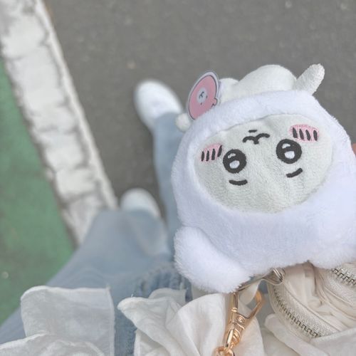 持ち主さんとお散歩☀️