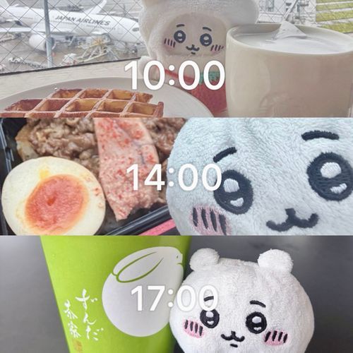 今日の1日✈️