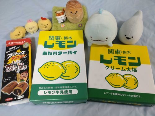 やぬしがおやつかってきた！