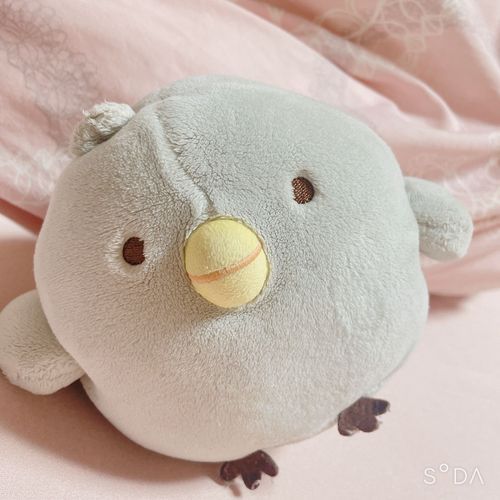 えへへ、こぼは こぼだよ~♪
たくさんおねんねするのが  おしごとだよ~

みんなも こぼといっぱいあそぶゆめ、みれるといいね

おやすみ~ ねむねむ