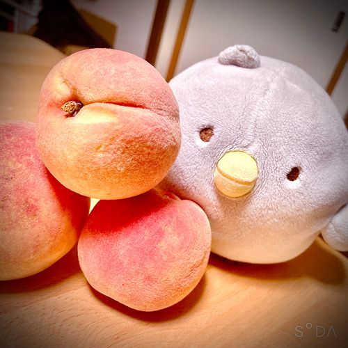 もも と こぼだよ♪
どれが こぼなのか わかる~？