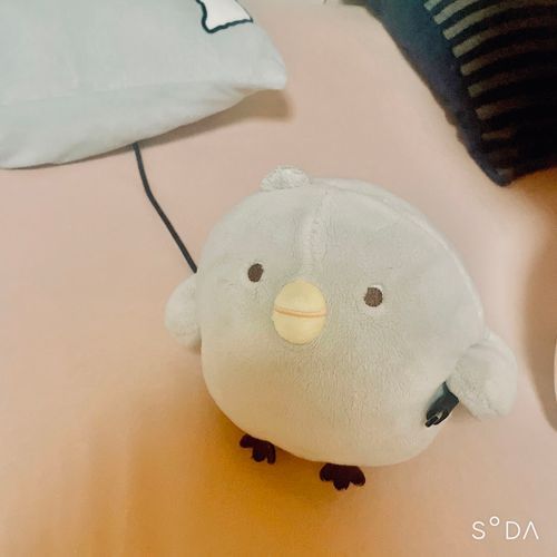 じゅうでん、しときますね♪
