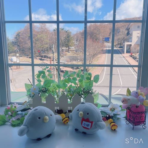 こぼだよ~♪
いいおてんきだね~