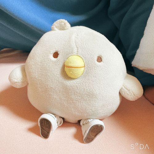 こぼのあんよ、みてみて~！