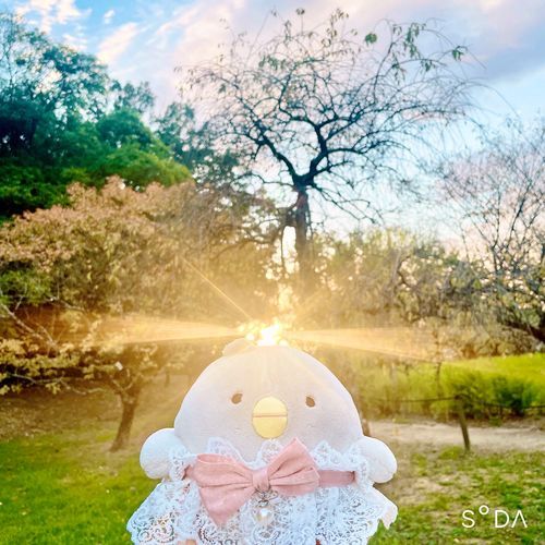 かがやく こぼさまだよ♪