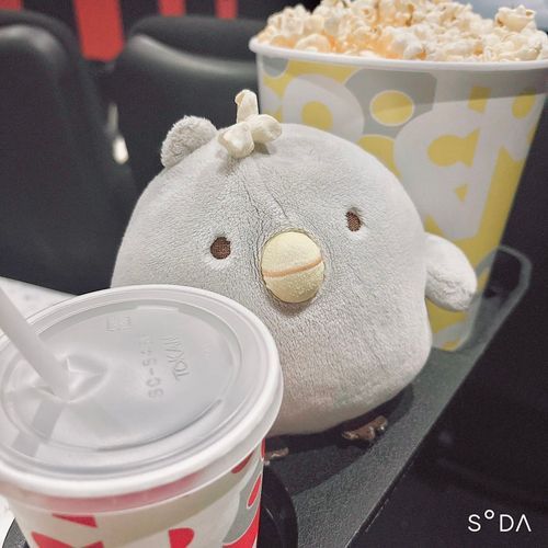 えいがかんのこぼだよ~🍿