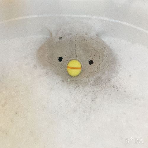 ああ〜〜〜っ💦
おふろいやだよぅ