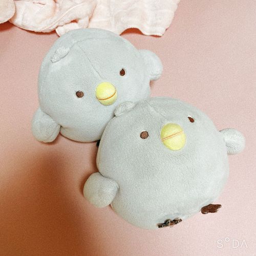 こぼのおにいちゃんと こぼだよ♪
