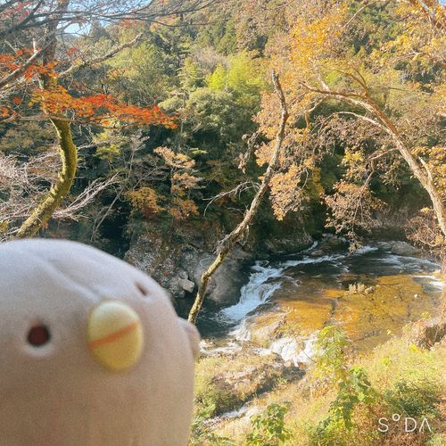 くがつは こぼがたべちゃったよ！