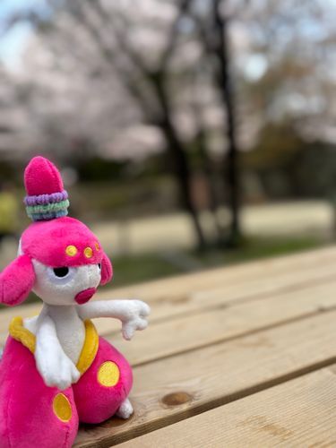 へへ、アタイとお花見できるなんて、アンタ運がいいじゃないか。