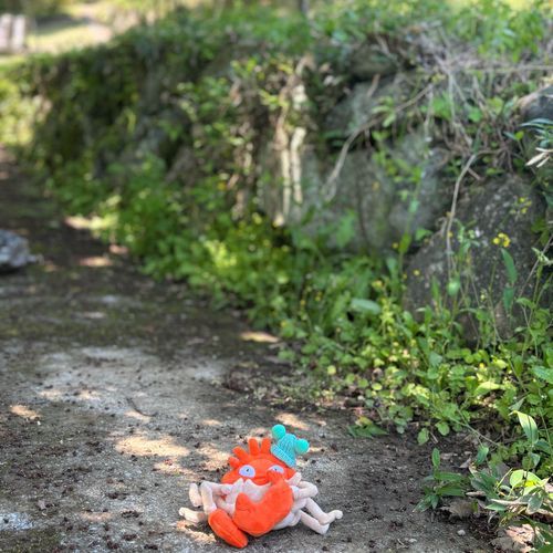 ひみつのばしょへ　あんないするぜ！