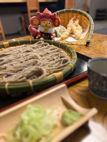 そばを すするで やんす 。