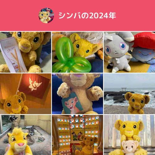 今更ですが…笑

たくさんシンバたちを見てくれてありがとうございました！

新年ものんびり更新していきます。
