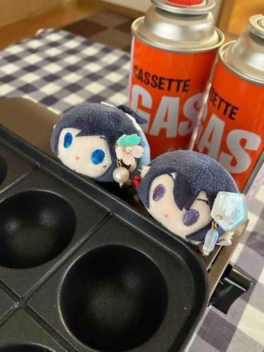 今日はたこパです✨

ミニもち達もワクワクしてるみたいです☺️