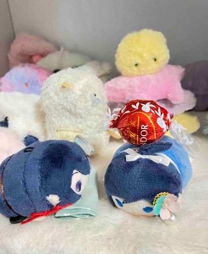 チョコをもらって自慢する安もちと、良かったねと見てあげるずおもち☺️