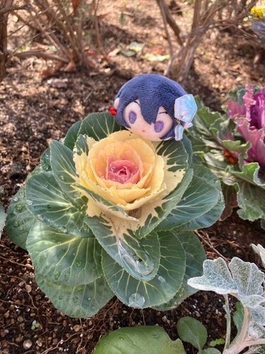 久しぶりのお出かけです☺️