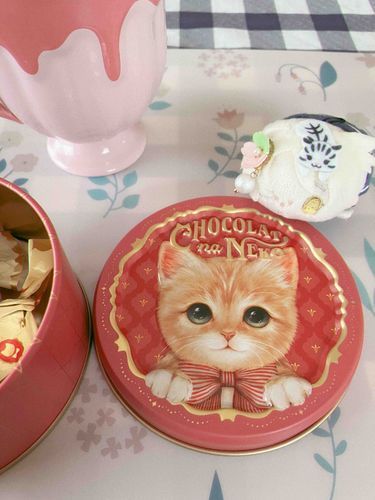 昨日自分用に買った可愛い缶に入ったチョコで五虎ちゃんとオヤツタイム☺️