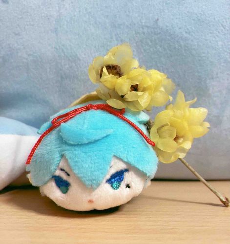 お小夜と蝋梅のお花、綺麗に咲いてるね☺️

