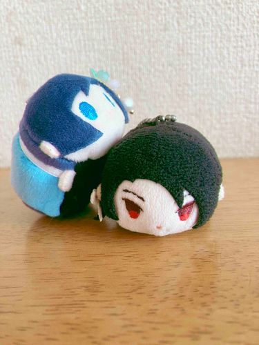 もちきよちゃんをお迎えしました☺️

かわいいです✨