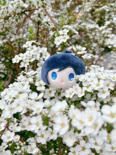 お庭の雪柳が満開でとても綺麗です✨
もちを乗せると妖精さんみたい☺️