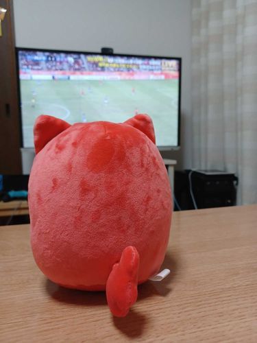 初投稿だよー
日本ファイト！
ε”ε”ε”(ﾉ* •ω• )ﾉー⚽️