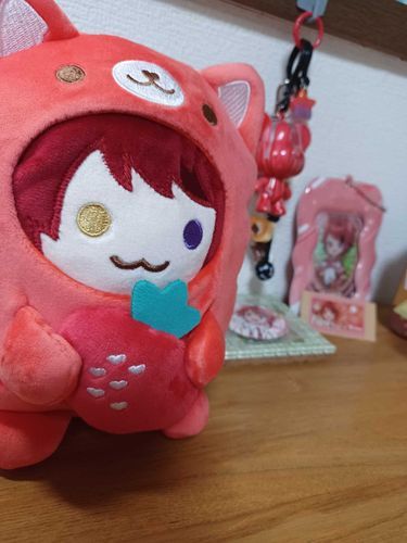 ご主人の推しグッズと共に
( ..›ᴗ‹..)🪄莉犬くんｻｲｺｳｯ!ｲｴｲｯ!