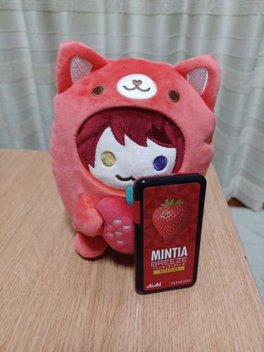 ミンティアのいちご！
(ง ˙o˙)ว ﾌｫｫｫｫｫｫｫｫｫｫｫｫｫｫｫｫｫｵｵｵｵｵｵｵ！！