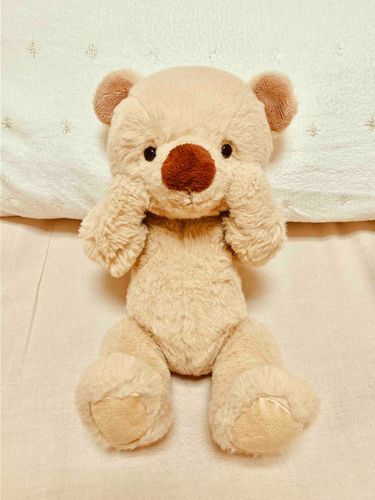 せんげつ　1さいに　なったばかりの　ぼくを　きろくとして　のせておこう。くたびれて　ぼろぼろの　ぬいぐるみに　ぼくも　いつか　なれるかな。そうなることが　あこがれなんだ。ね　オーナーさん？