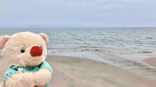きのう　みうらかいがんに　いってきたよ。ひとが　すくなくて、なみを　みつめながら　とっても　おちつける　ばしょ　だった。うみうまという　おうまさんたちも　やってきて、ひとと　うみに　はいって　いったんだ！