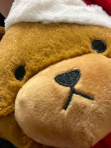 じどりはとくいだよ