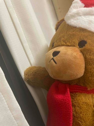 なんかね、かいぬしさんは、ぼくのことだいそー？でみつけたんだって。クリスマスシーズンがすぎたらぼくがすてられちゃうかもってしんぱいだったんだって…。
それにしてもこんなかっこいいぼくをひきとるなんて、なかなかみるめあるなあ。