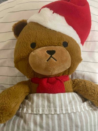 かいぬしさんがしゅうがくりょこう？にスマホもっていったから、しばらくとうこうできなかったんだ〜
ちょっとおひさしぶりのとうこうだよ📸
おみやげもしゃしんもおもいでもたくさんおすそわけしてもらった♡