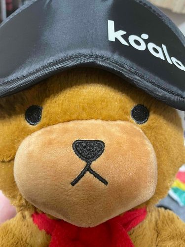 かいぬしさんがアイマスクくれたー
コアラマットレスのだって！ぼくでもきいたことある〜
しゃちょうはコアラなのかな？