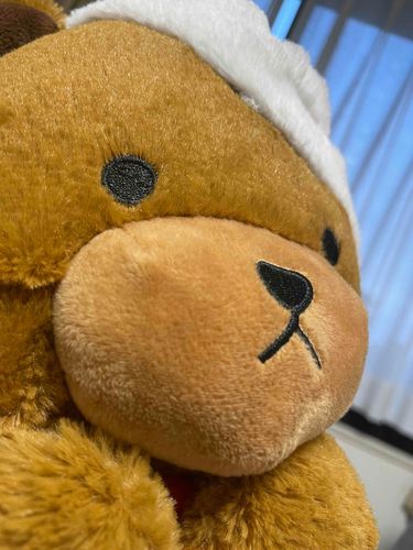 このあいだね、かいぬしさんに、「かわいくとってね！」っておねがいしてとってもらったしゃしんだよー
かわいい？