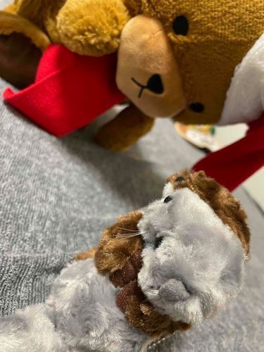 あれれ、なんかぼくこわがられてる？