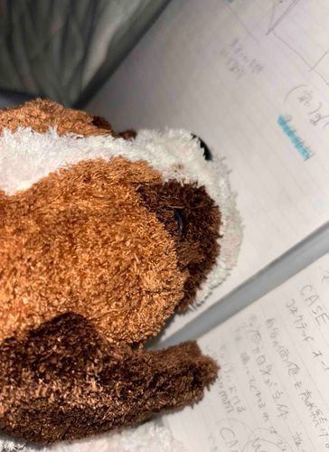 ご主人は明日、小テストがあるんだって！
ボクも一緒にお勉強したよ。頭を使っていると眠たくなっちゃうよね…。せんとくんもおやすみモードになっちゃった。そろそろ寝るね。みんな、おやすみなさい。