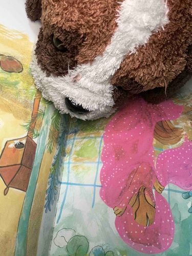 ご主人は、1日1回必ず読み聞かせをしてくれるんだ！
今日は絵本の、「きつねのホイティ」だったよ。
みんなはどんな本が好きかなぁ？