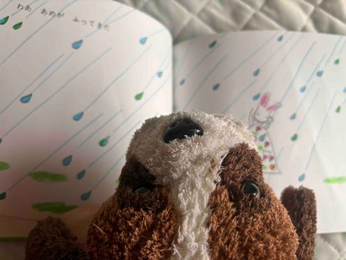 みんなおはよう。
今日は土曜日だから、布団でごろごろの日。
ご主人にお気に入りの絵本を読んでもらってるよ。
この本を読むと、雨でもなんだか素敵な気分になれるんだ！