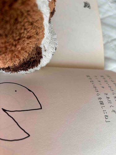 本を読んでるとき、ご主人はよくボクの頭を撫でてくれるよ。
特にこの角度だとせんとくんは、ちょこっとしててかわいく見えるんだって！
マズルが短いのがよくわかるからだねぇ