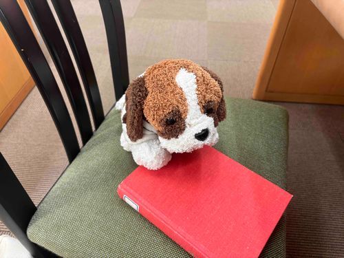 ボクは今、ご主人の学校でお勉強してるよ
学校の図書館はとっても広くて楽しいんだ！