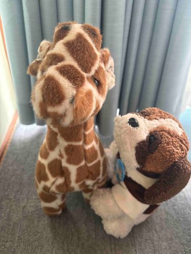 ボクのお友だちのキリンさん。
ご主人のお家にはたくさん、ふわもこなお友だちがいるんだよ！
あかちゃんだから、ちょっと小さいけど、ボクよりは高いね！
からだの模様がかっこいい。