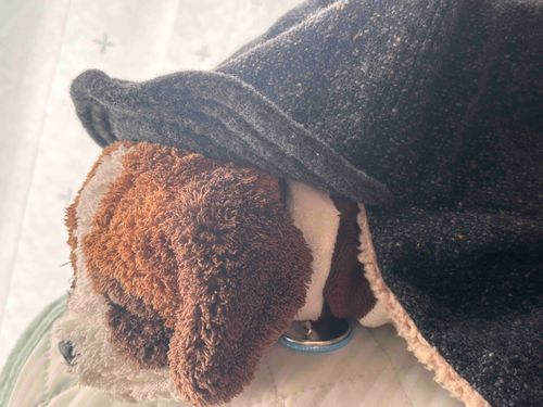さいきん急に寒いよね。
ボクはご主人の帽子をかりてカタツムリしてるよ。
なんだか冬眠したい気分