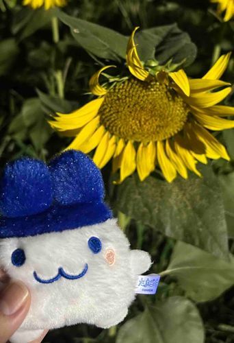 夏休みの思い出①
お迎えした2日後に夜のひまわりを見に行った🌻朝から楽しみでソワソワしてて、勉強に身が入らなかった