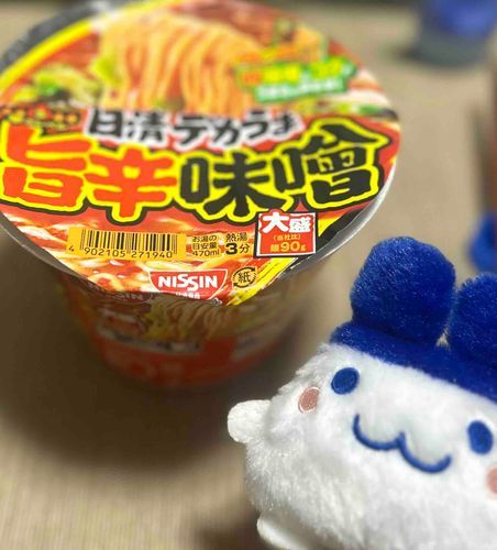 夏休みの思い出②
涙出そうになるくらい鬱状態だった時に吹っ切れて深夜にラーメン食べた🍜みみっちも賛成してた