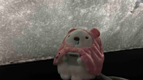 雪、さむいね