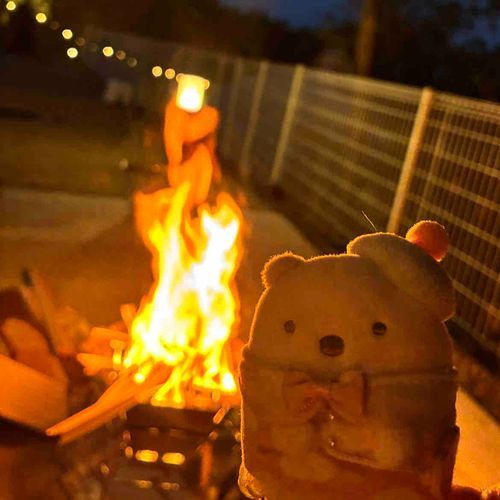 たき火 あったかい🔥