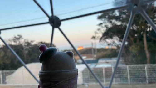 グランピングなんです🏕