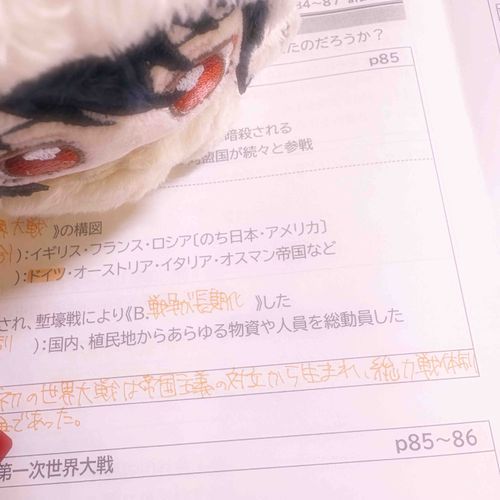 おねえちゃん しあさって から ちゅうかんてすと なんだって