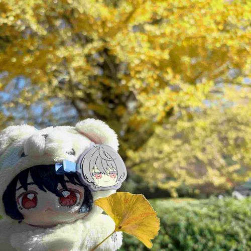 きれいな いちょう ✨️