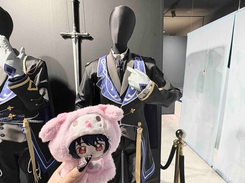 おねえちゃん と おれの衣装 みにきたの！
おねえちゃん、おれのことだいすきだからたくさん写真ぱしゃぱしゃしてた📸